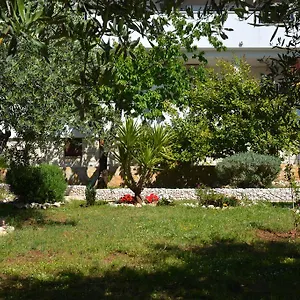 Maslina Apartament